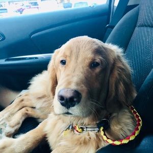 Meet your Posher, Adrienne